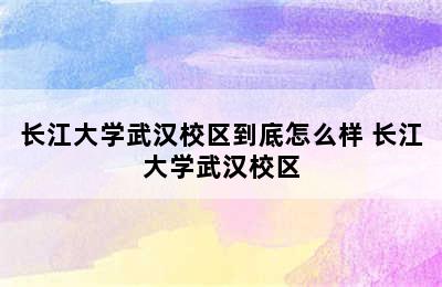 长江大学武汉校区到底怎么样 长江大学武汉校区